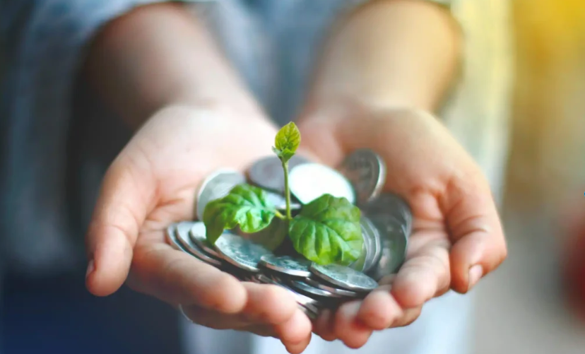 A Phenomenal Year for IPOs